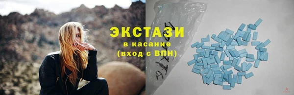 ECSTASY Алзамай