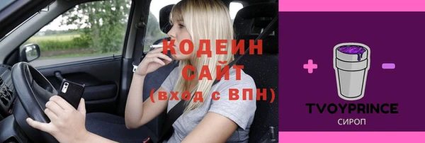 ECSTASY Алзамай