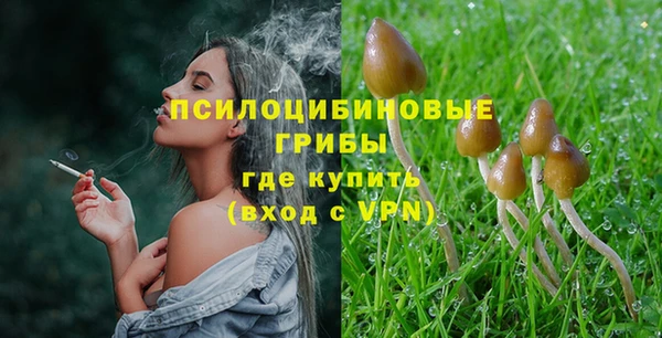 шишки Алексеевка