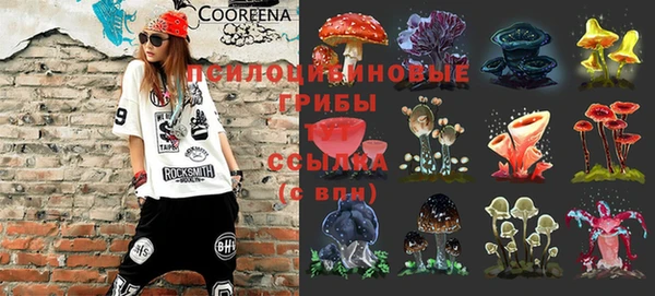 шишки Алексеевка