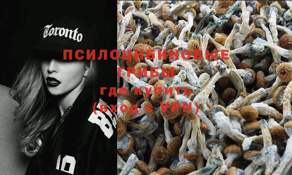 шишки Алексеевка