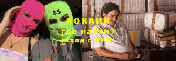 шишки Алексеевка