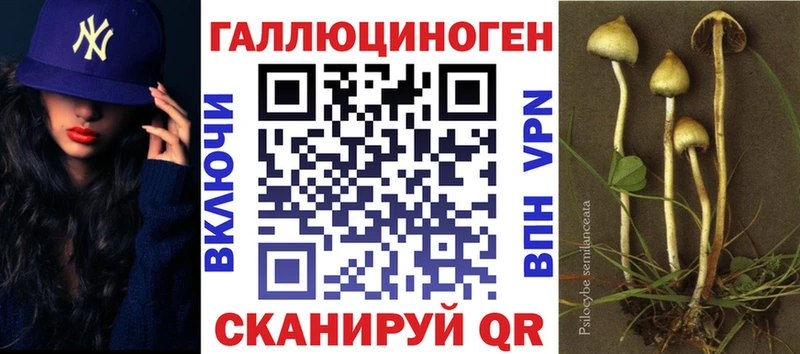 Галлюциногенные грибы ЛСД  гидра ССЫЛКА  Волхов  сколько стоит 